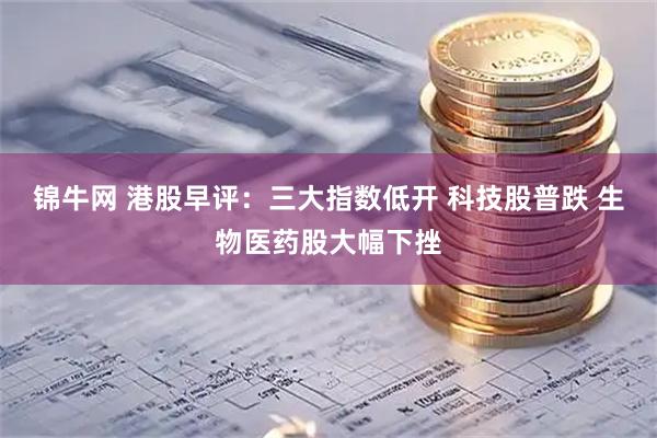 锦牛网 港股早评：三大指数低开 科技股普跌 生物医药股大幅下挫